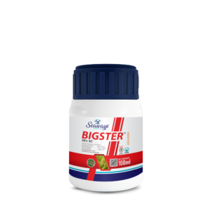 BIGSTER - Insecticide | 16% SC
