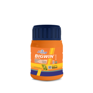 BIGWIN - Seed Treatment | 26% FS