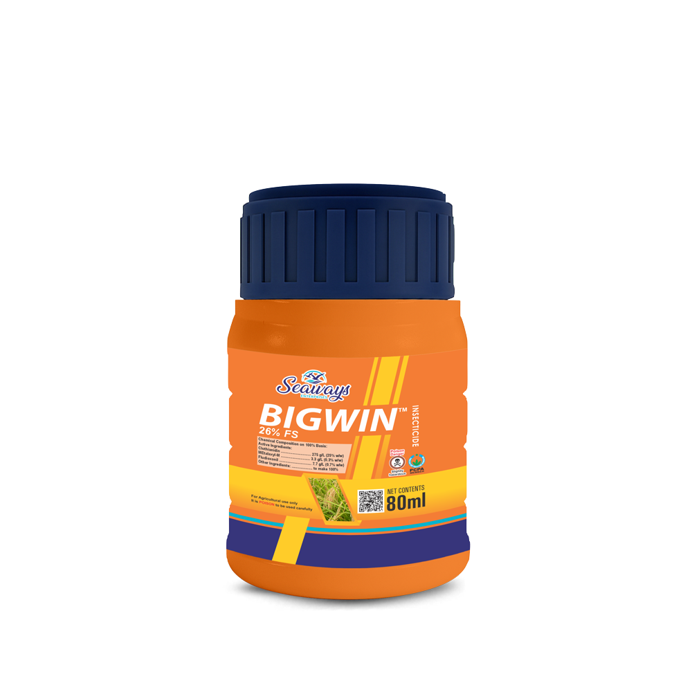 BigWin-1.png